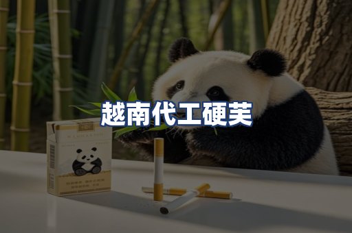 越南代工硬芙